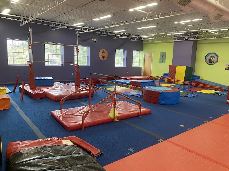 The Little Gym photo 2