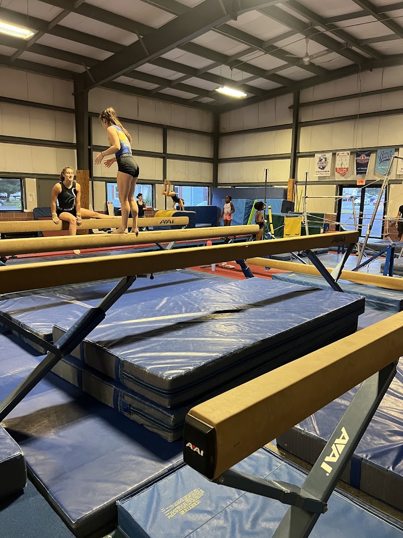 Marvel & Grace Gymnastics photo 2