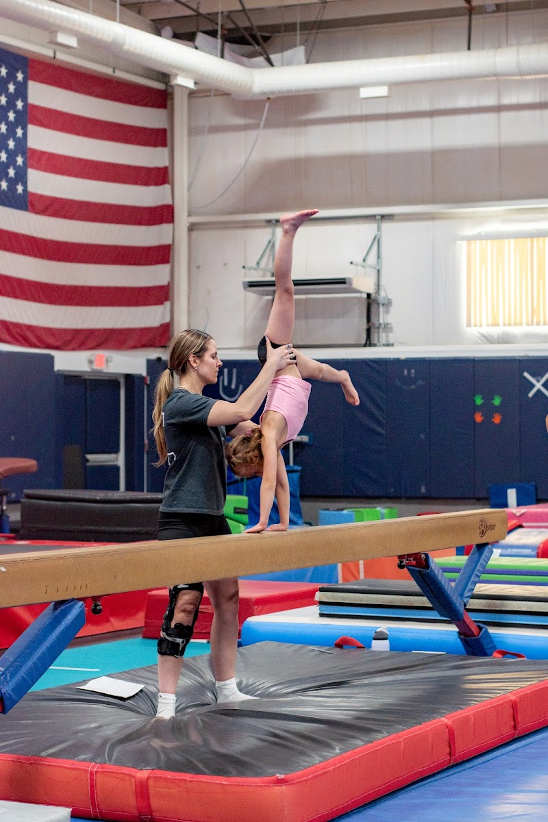 All American Gymnastics photo 2