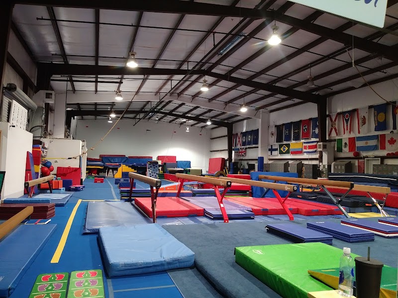 Reflex Gymnastics photo 2