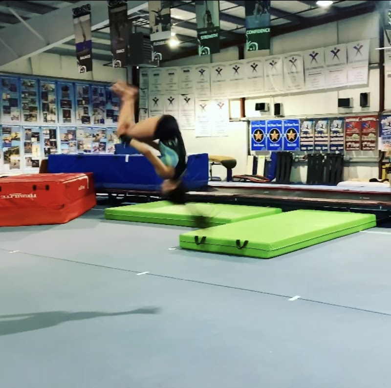 Paradise Gymnastics