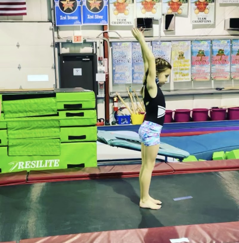 Paradise Gymnastics photo 2