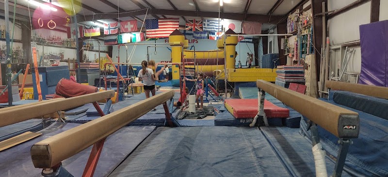 Florida Flips photo 3