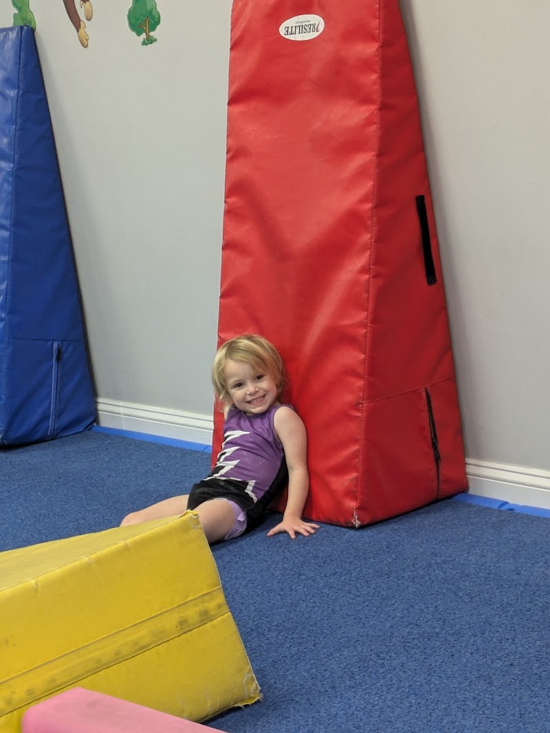Palmer's Gymnastics Inc.