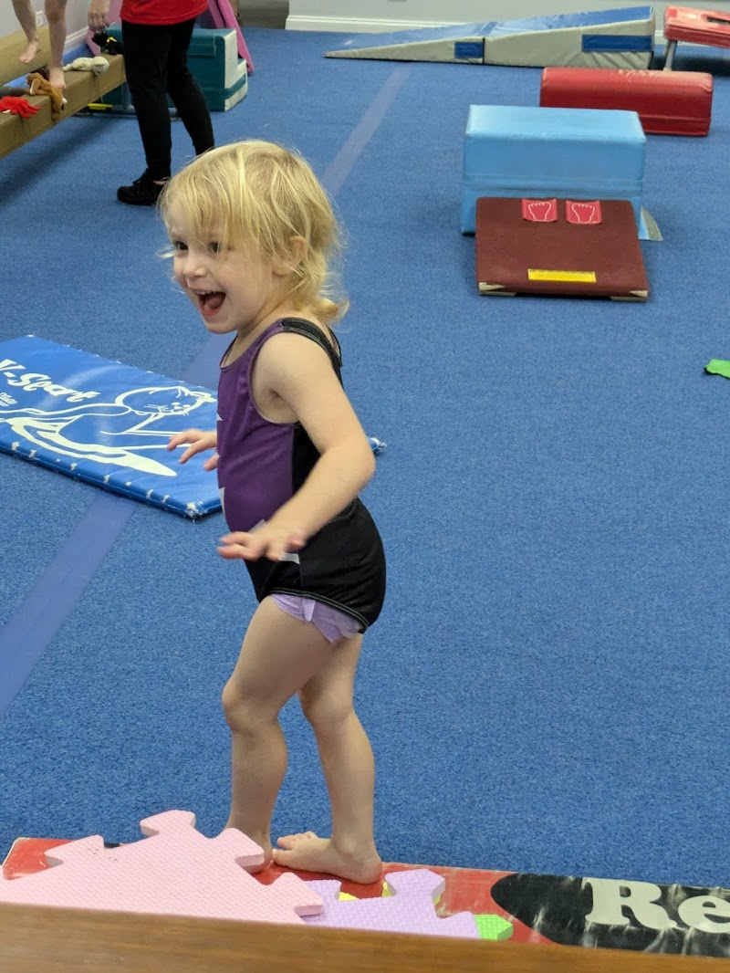 Palmer's Gymnastics Inc. photo 2