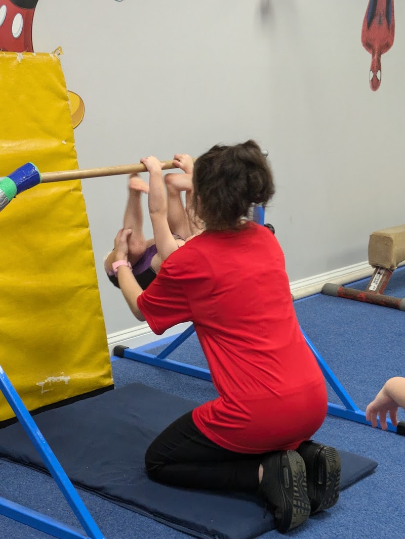 Palmer's Gymnastics Inc. photo 3