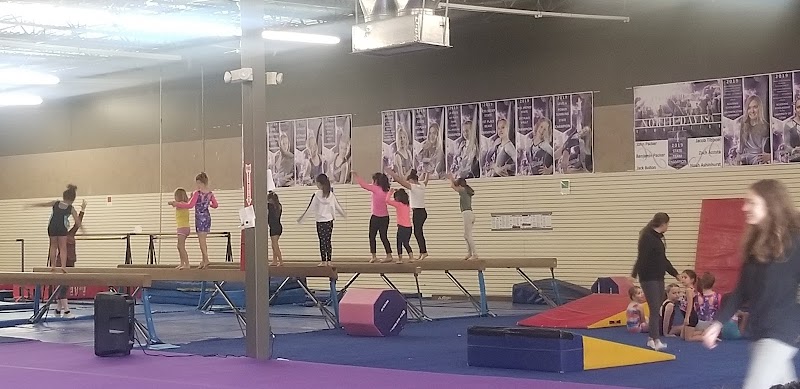 North Davis Gymnastics photo 3