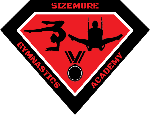 Sizemore Gymnastics Academy photo 2