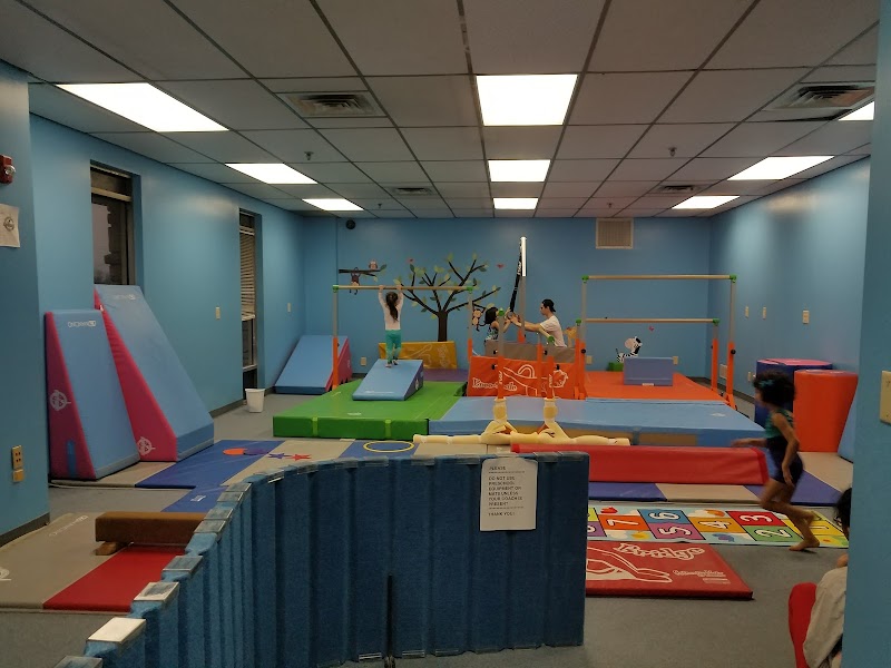Future Gymnastics Academy photo 3
