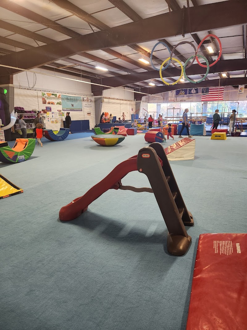 Pure Gymnastics