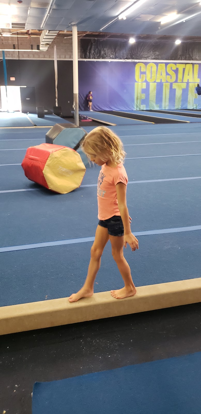 Costal Elite Cheer Dance and Gymnastics photo 2