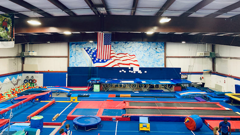Tumblebees Ultimate Gym