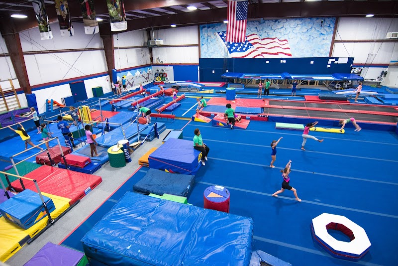 Tumblebees Ultimate Gym photo 2