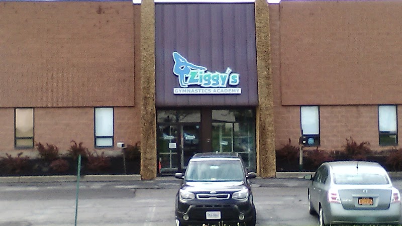 Ziggy's Gymnastics Academy photo 2