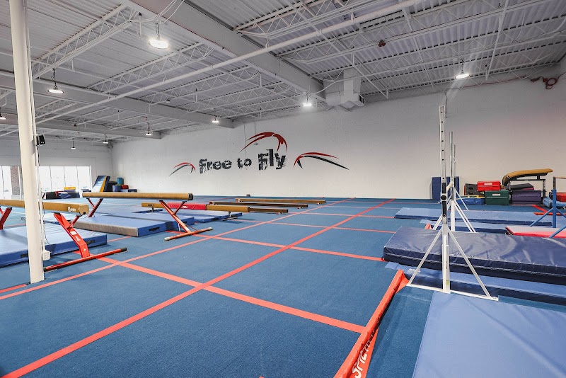 Free to Fly Inc