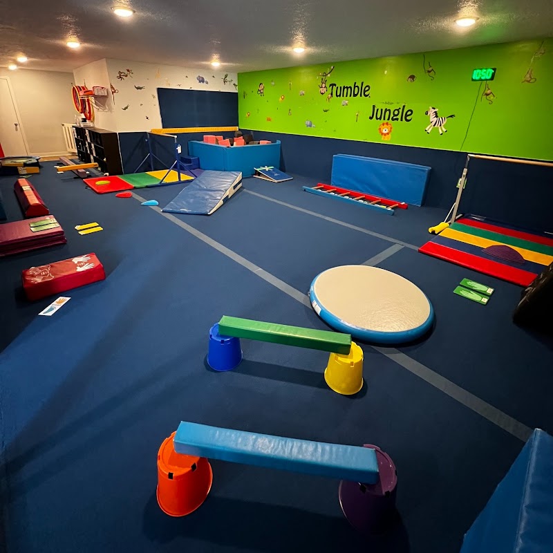 North Pointe Gymnastics LLC photo 2