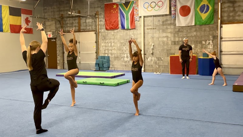 International Elite Gymnastics photo 3