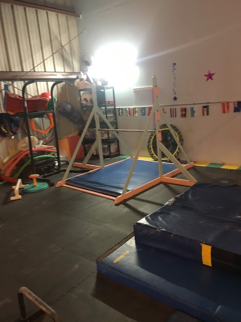 Garden Island Gymnastics photo 2