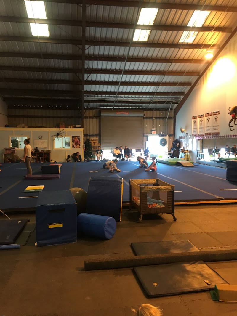 Garden Island Gymnastics photo 3