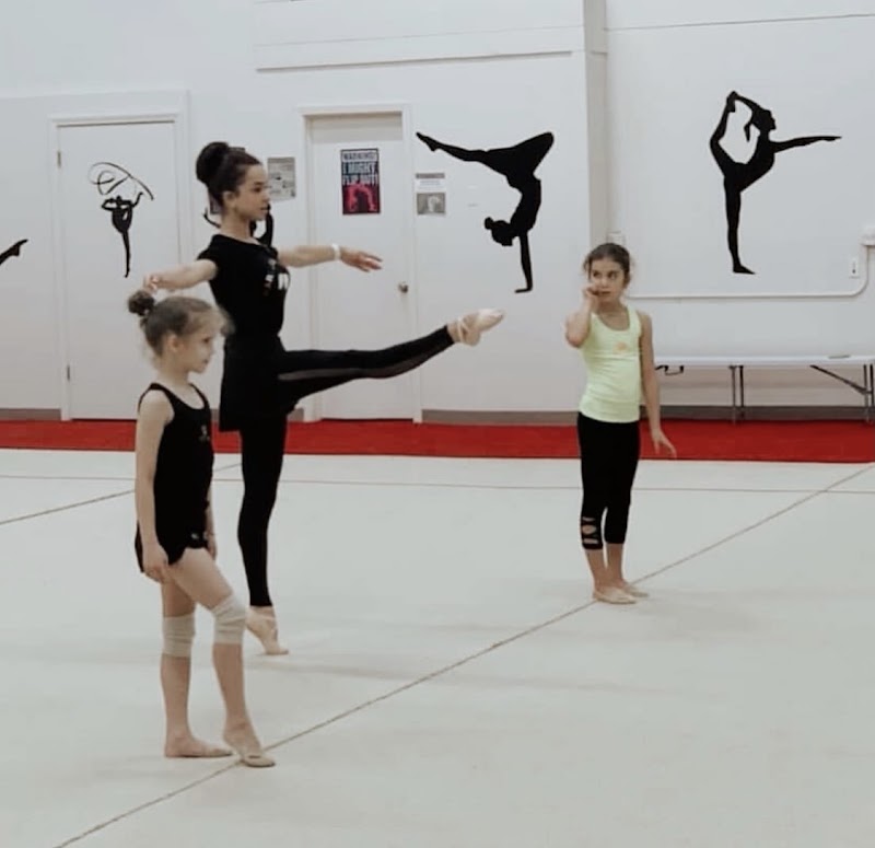 VVL Rhythmic Gymnastics Academy