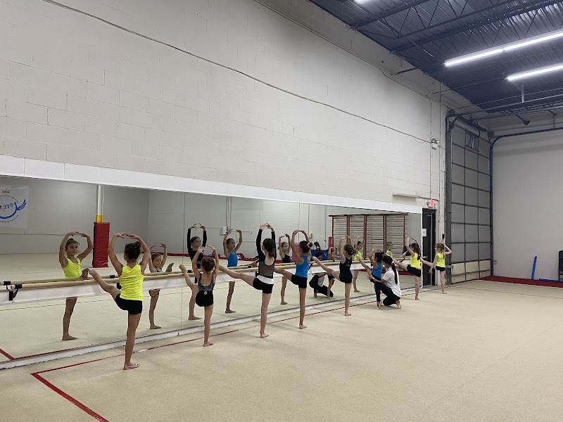 VVL Rhythmic Gymnastics Academy photo 2