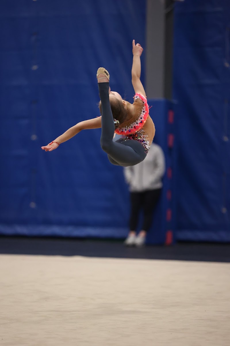 VVL Rhythmic Gymnastics Academy photo 3