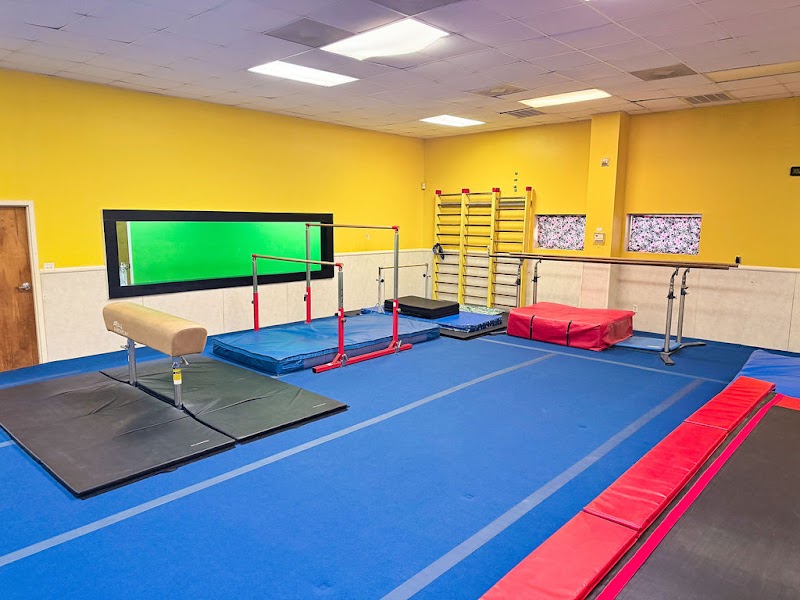 SPARKLE CITY GYMNASTICS photo 2