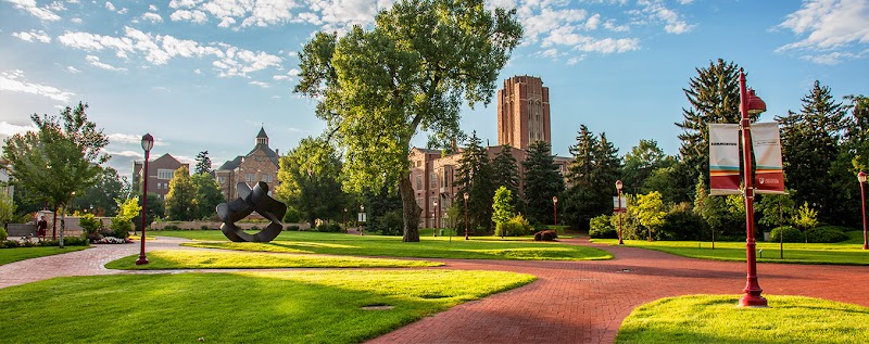 University of Denver Jr. Pioneers photo 1