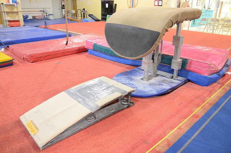 North Florida Gymnastics Club Inc. photo 2