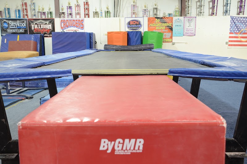 North Florida Gymnastics Club Inc. photo 3