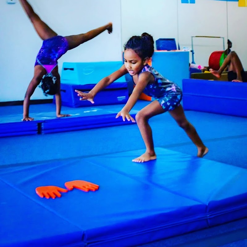 Airborne Gymnastics Club USA photo 3