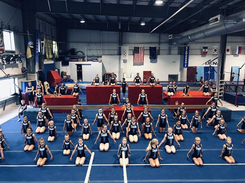 Denali Gymnastics N Fitness Inc. photo 3