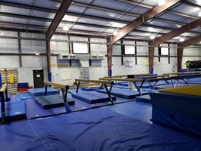 Scamps Gymnastics