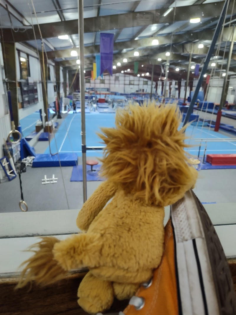 Scamps Gymnastics photo 2