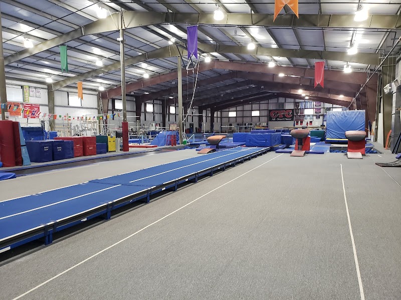 Scamps Gymnastics photo 3