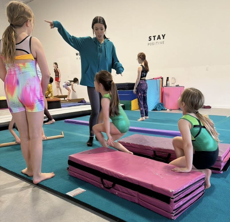 Jumping Gymnasts photo 2