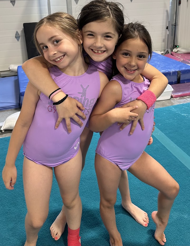 Jumping Gymnasts photo 3