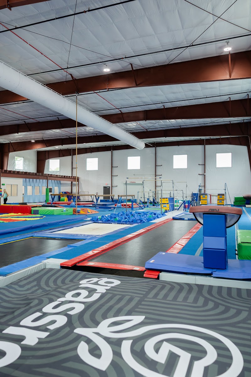Grassroots Gymnastics photo 2