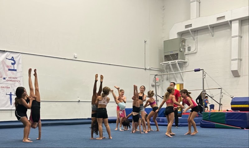 JLF ELITE GYMNASTICS photo 2