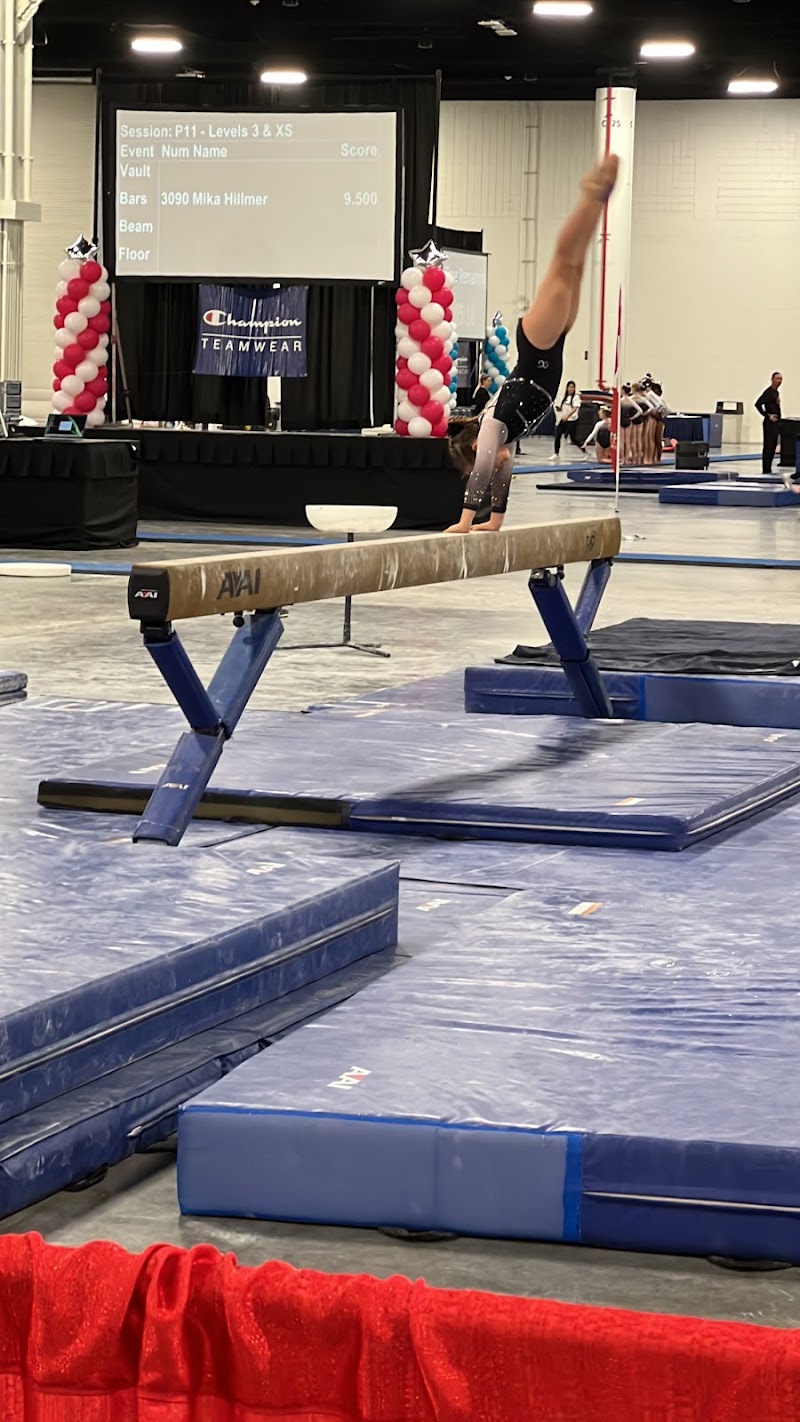 JLF ELITE GYMNASTICS photo 3
