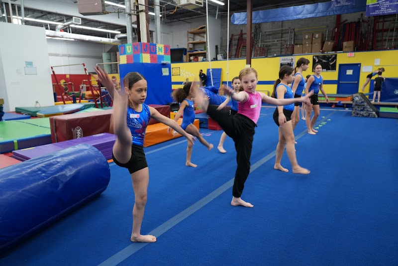 Silver Stars Gymnastics