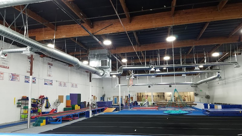 Stars Gymnastics