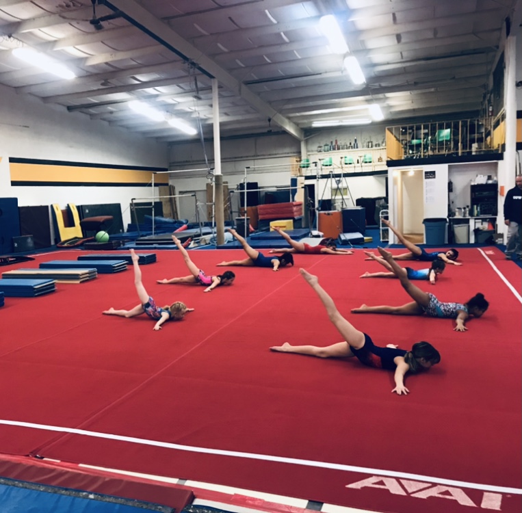 Sokol South Omaha Gymnastics photo 2