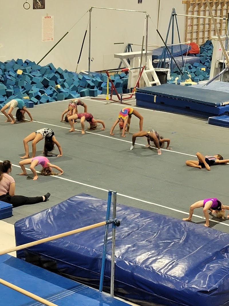 Gymnastics Unlimited Inc. photo 2