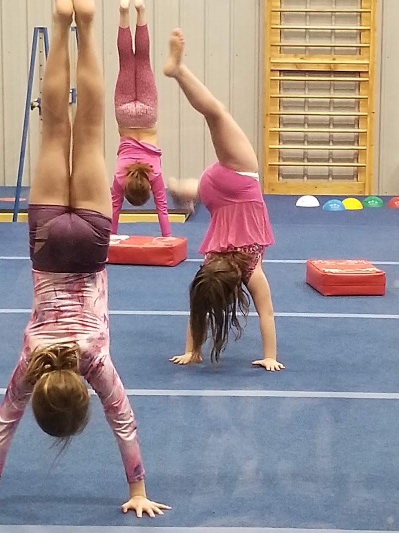 Motion Gymnastics & Tumbling Center photo 2