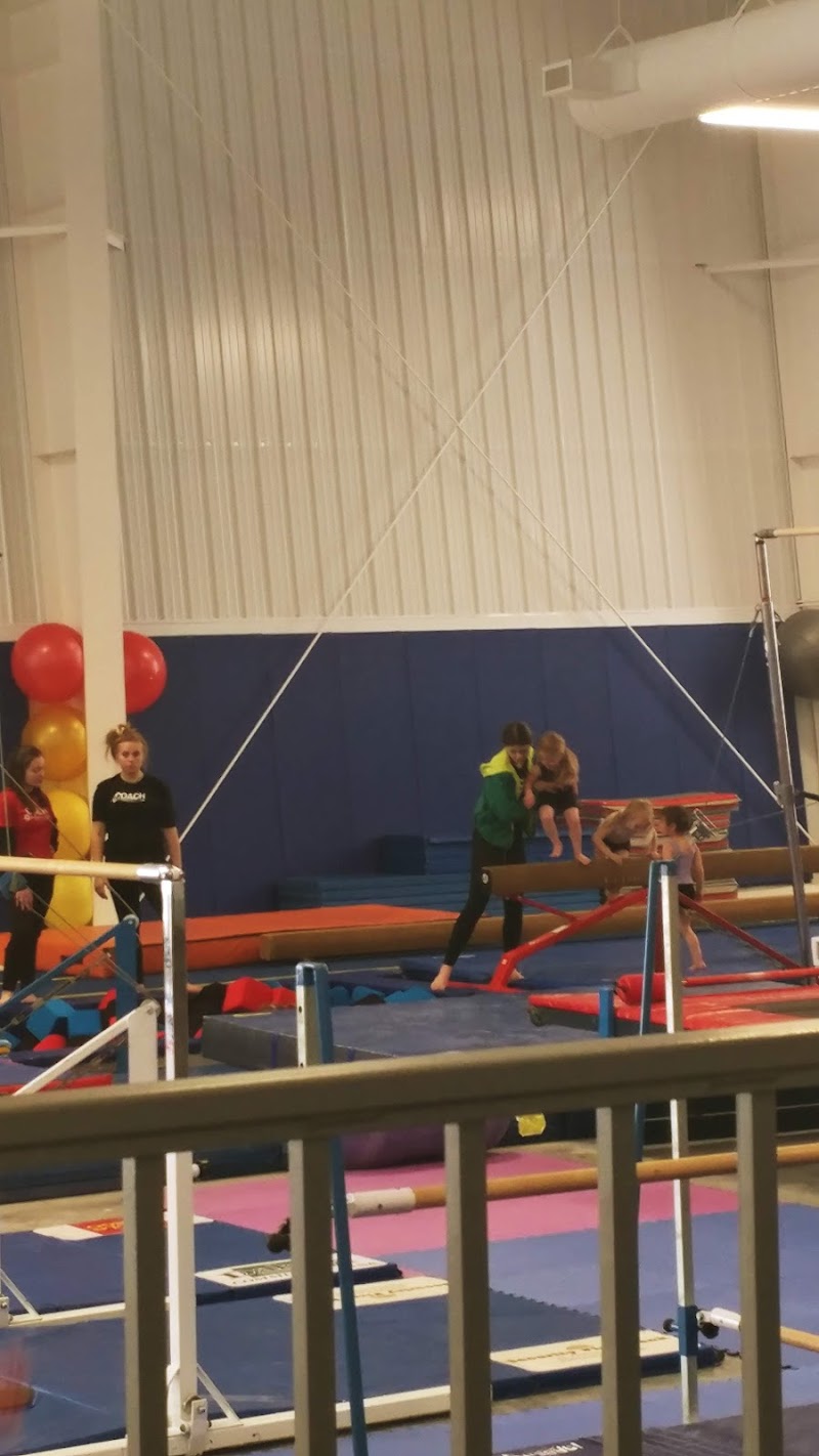 Dakota Star Gymnastics photo 3