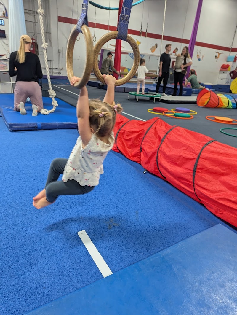 Miyagi Gymnastics Academy photo 2