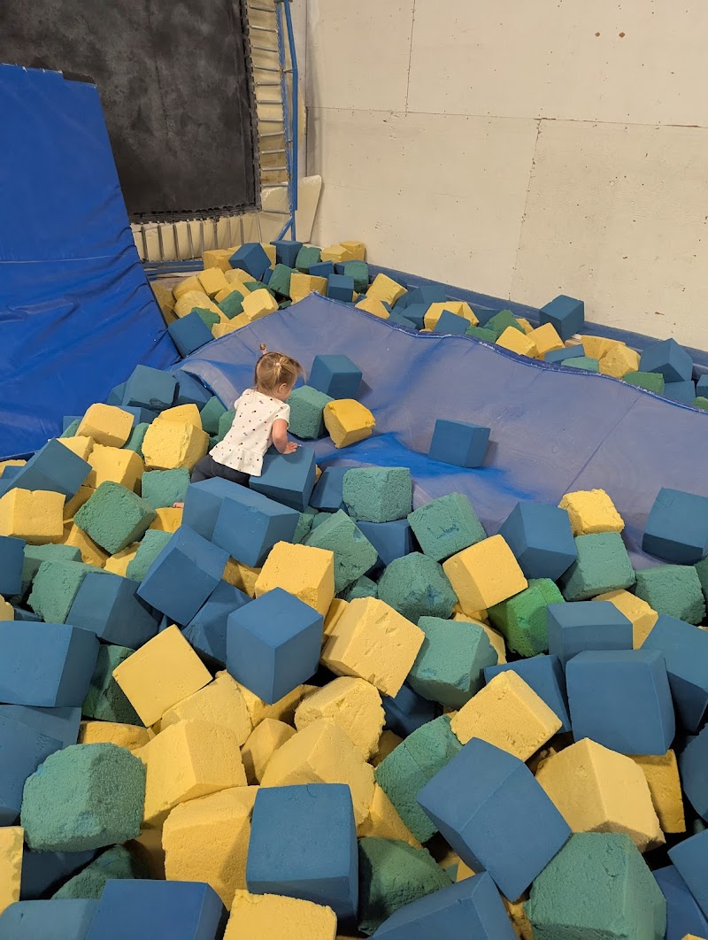 Miyagi Gymnastics Academy photo 3
