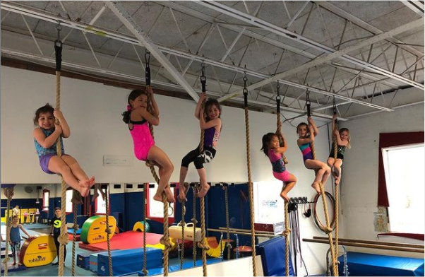 Energy Fitness & Gymnastics photo 2