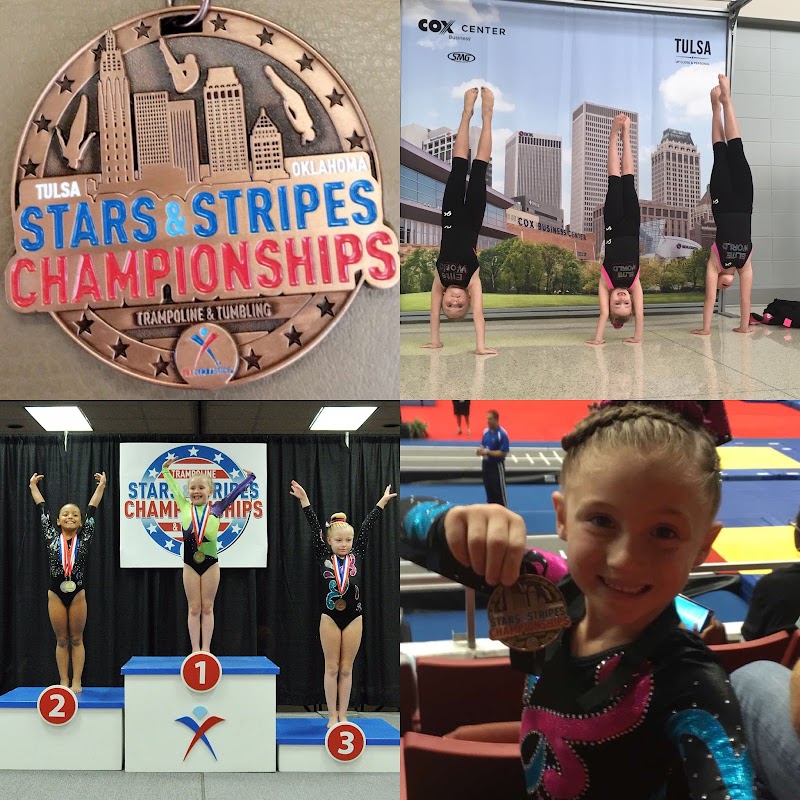Elite World Gymnastics photo 2